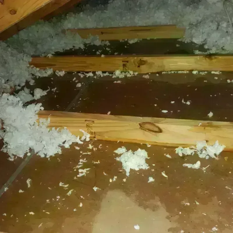 Attic Water Damage in East Providence, RI